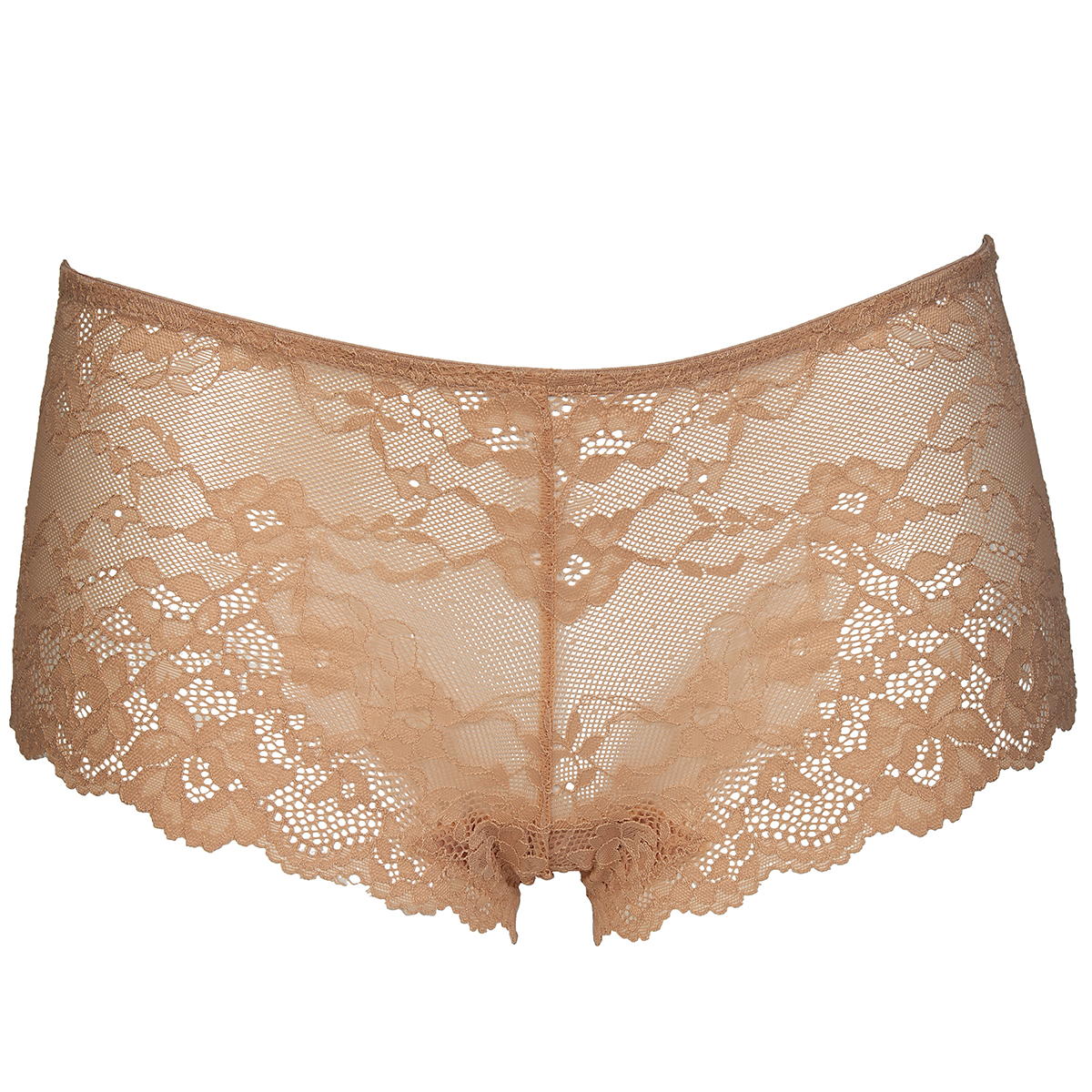 After Eden Daisy - Powder - 10.37.7008-083