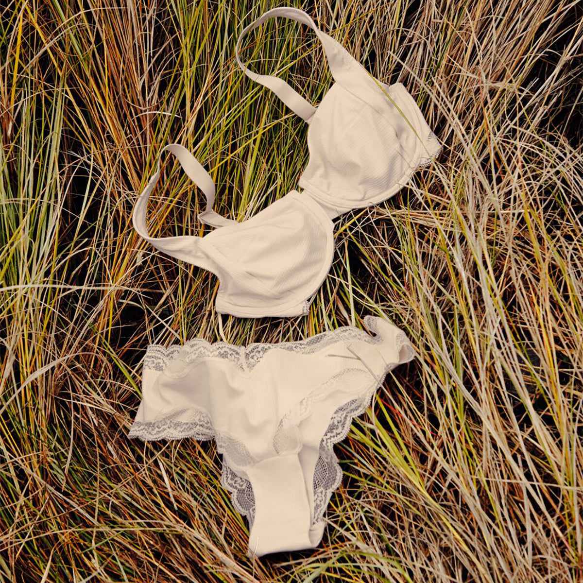 Triumph Natural Spotlight - Fresh powder - 10214465-00CS